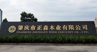肇庆市正森木业有限公司环境监测项目检测报告